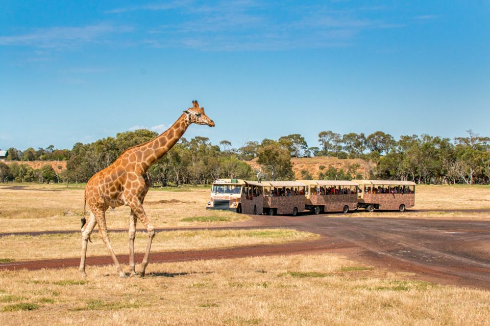 Melbourne: Werribee Open Range Zoo Admission Ticket - Accessibility and Validity