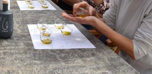 Messenia: Olive Oil Experience-Full Tour,Food Pairing,Dinner - Additional Inclusions