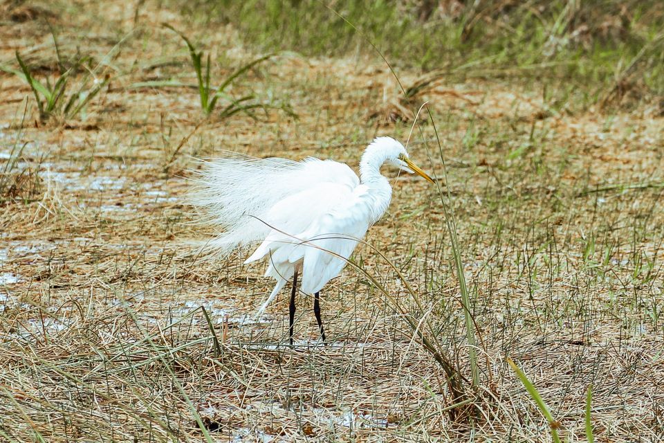 Miami: Everglades National Park Airboat Tour & Wildlife Show - Booking Information