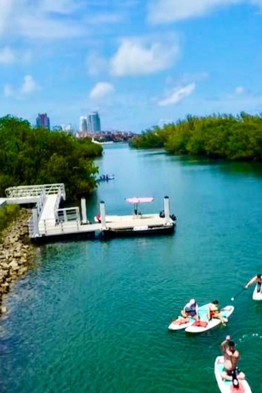 Miami: Paddle Board or Kayak Rental in Virginia Key - Manatee and Wildlife Spotting