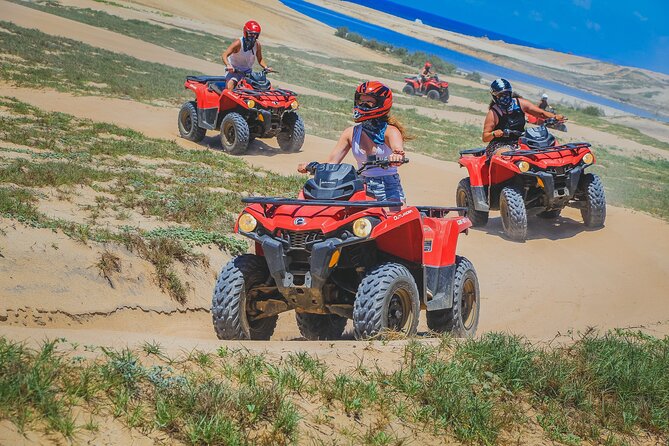 Migrino Beach & Desert ATV Tour in Cabo by Cactus Tours Park - Last Words