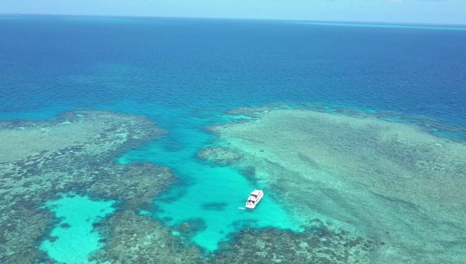 Mission Beach: Great Barrier Reef Snorkel or Dive Cruise - Review Summary and Ratings