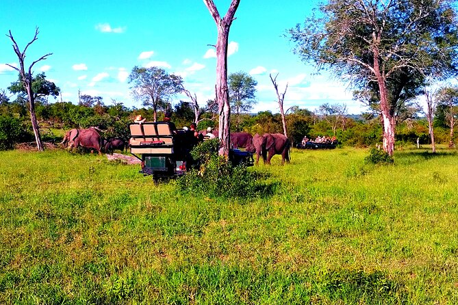 Moholoholo Wildlife Encounter & Sunset Safari - Common questions