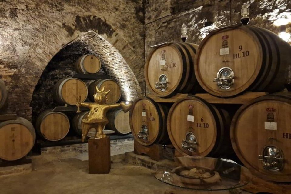 Montepulciano Wine Tasting and Assisi Private Day Tour - Booking Instructions
