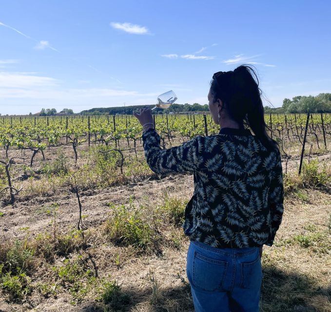 Montpellier: Camargue Winery Tour With Tastings and Picnic - Picnic Lunch Experience