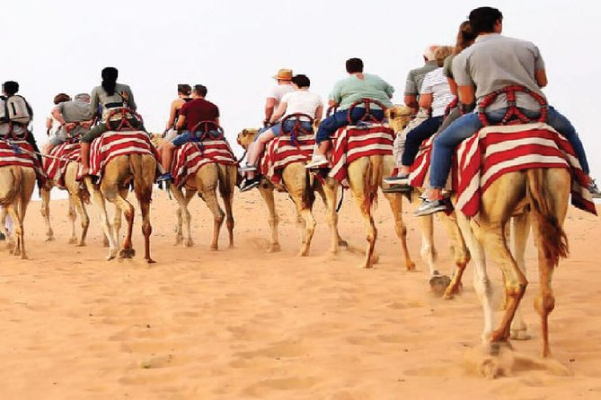 Morning Camel Trekking Safari Dubai ( With Refreshment ) - Last Words