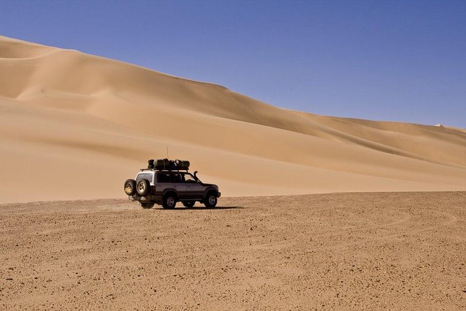 Morning Dubai Desert Safari With Dune Bashing & Sandboarding & Camel Riding - Last Words and Copyright Details