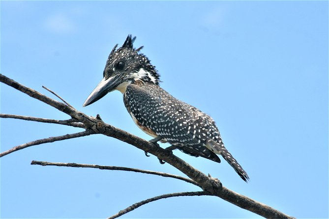 Morning Kruger National Park Safari - Contact and Support Information