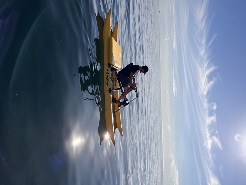 Mornington: Port Phillip Bay Water Bike Tour - Common questions