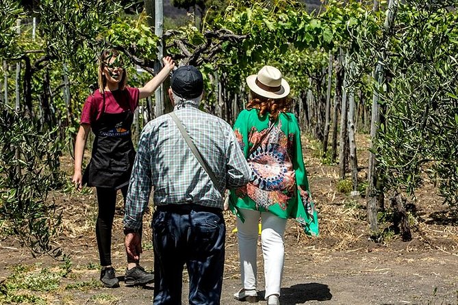 Mount Vesuvio Organic Wine Tasting & Lunch With Transfer From Naples - Visual Content and Real-Life Experiences