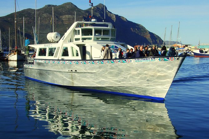 MUST DO: Cape Peninsula Tour & Good Hope From Cape Town! #1 Rated - Adaptability and Flexibility