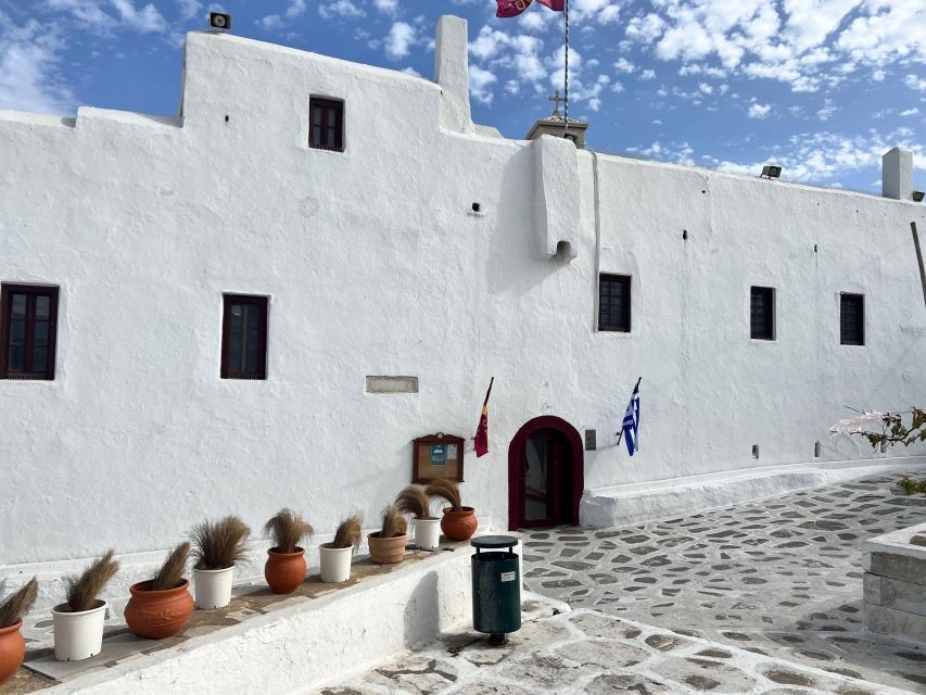 Mykonos Highlights Private Tour From Airport or Cruise Port - Customer Testimonials