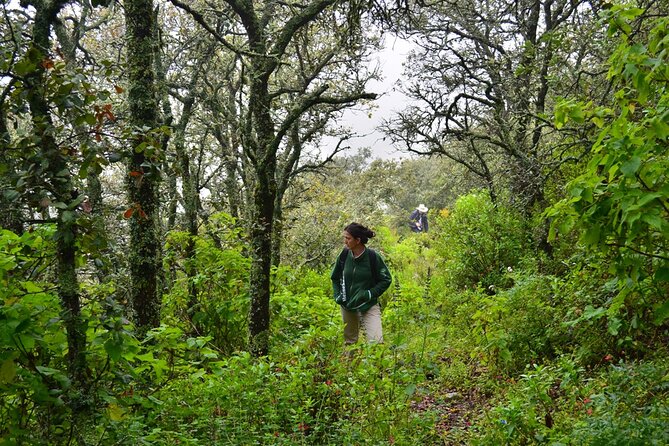 Nature Walk - Bufa Hill or Santa Rosa Area - Common questions