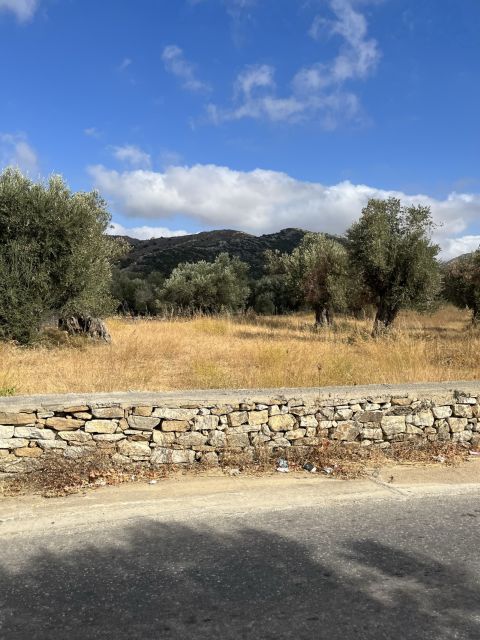 Naxos: Private E-Bike Tour With Wine Tasting Inland Methexis - Common questions