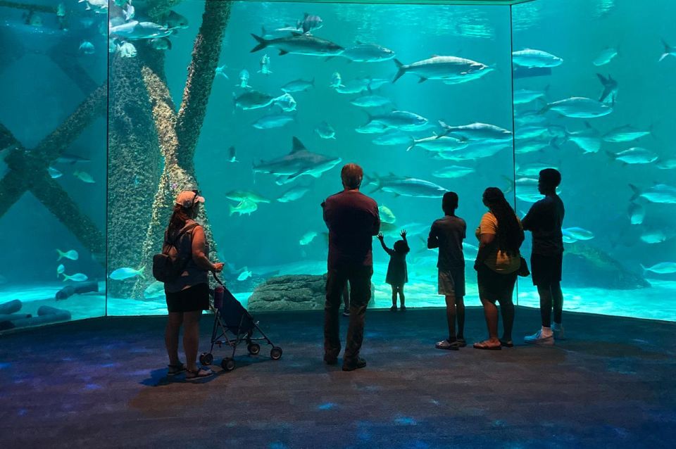 New Orleans: Audubon Aquarium Ticket & Optional Combinations - Booking Options