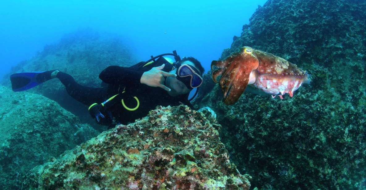 Nha Trang: Scuba Diving Experience for Non-Certified Divers - Additional Information