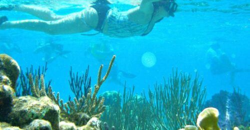 Nha Trang: Snorkeling - Sunbathing - Explore Fishing Village - Common questions