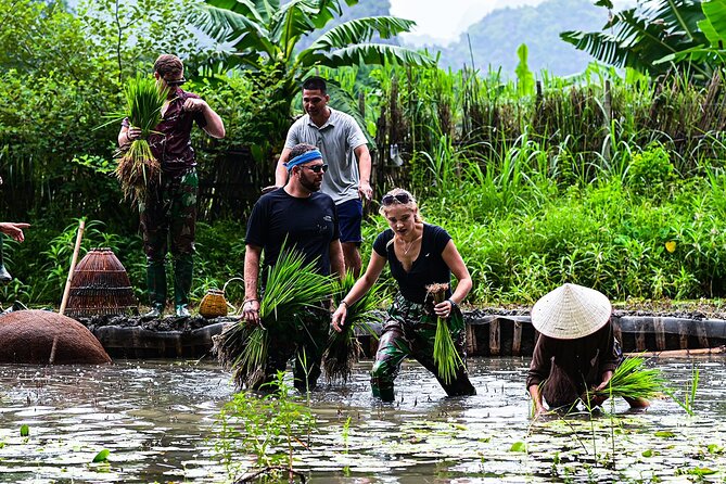 Ninh Binh Eco Group Tour - Buffalo Riding, Rice Planting, Fishing - Customer Reviews and Ratings