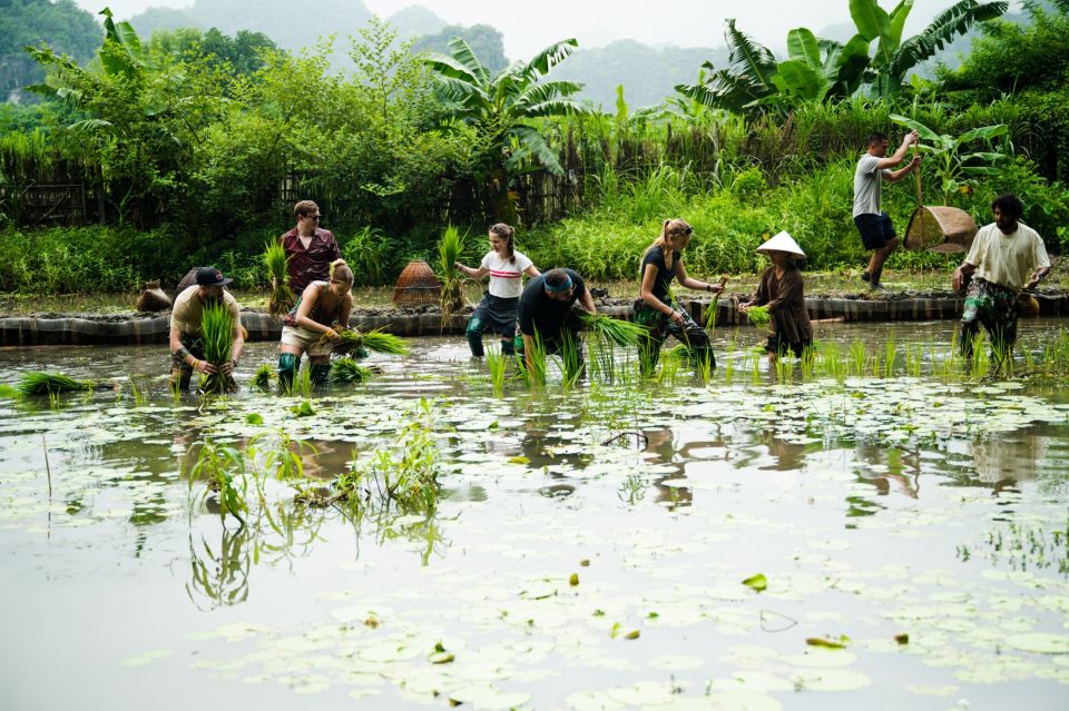 Ninh Binh Farm Trip: Experience the Authentic Rural Life - Additional Tips for Ninh Binh Trip