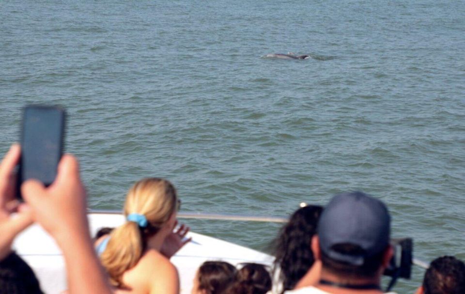 Ocean City: High-Speed Sunrise Cruise and Dolphin Watching - Last Words