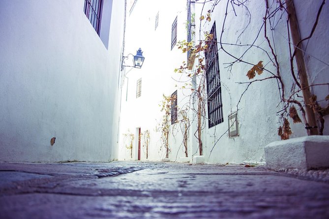 Off the Beaten Path. Cordoba Patios Private Tour - Importance to Cordobas Residents