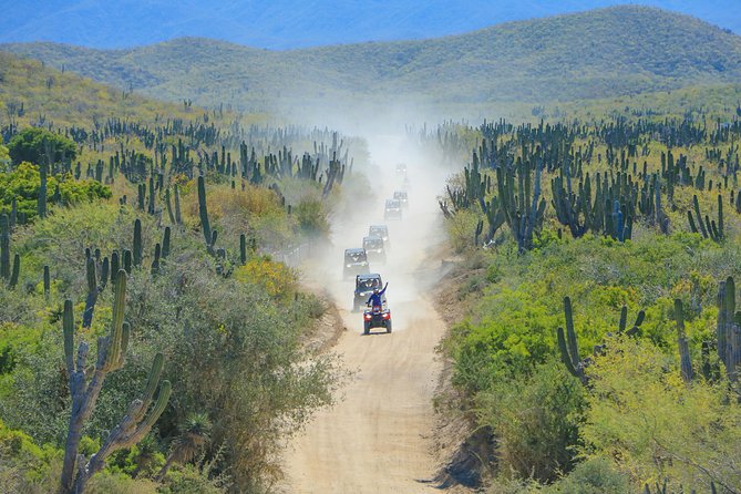 7 offroad 4x4 utv adventure with lunch tequila Offroad 4X4 UTV Adventure With Lunch & Tequila