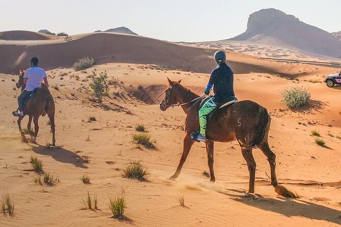 One Hour Horse or Camel Riding With Transfer- Sharm El-Sheikh - Important Reminders