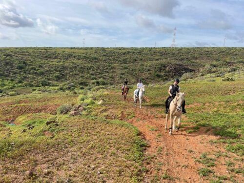 One Hour Horse Riding Tour in Gran Canaria - Common questions