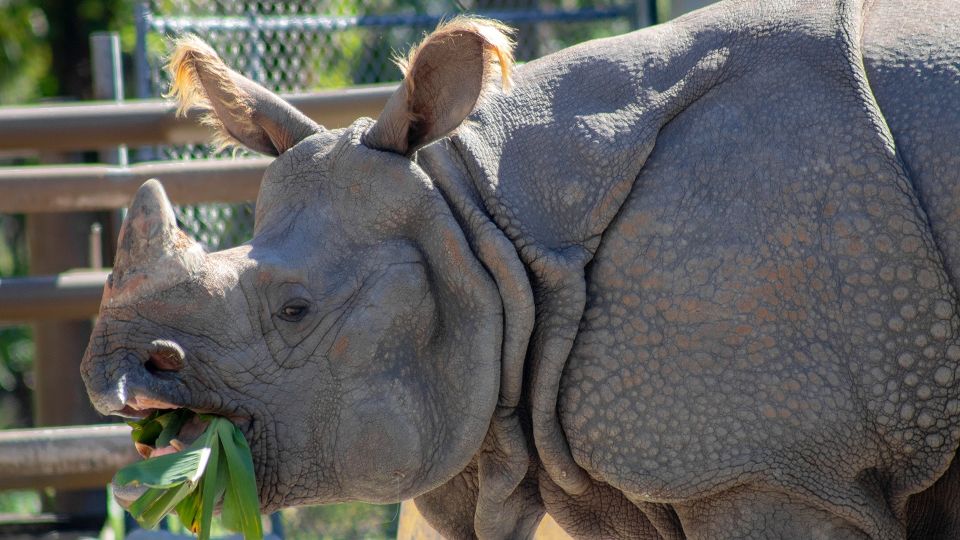 Orlando: Central Florida Zoo Skip-the-Line Ticket - Common questions