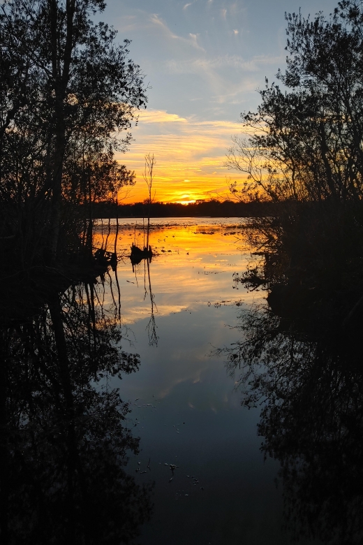 Orlando: Sunset Guided Kayaking Tour - Booking Information