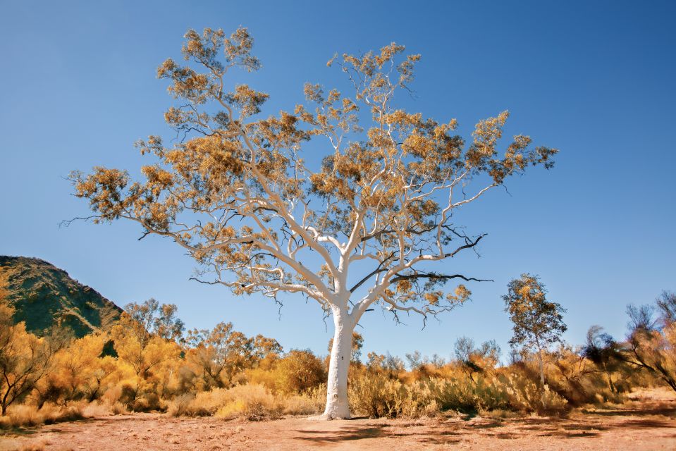 Outback Adventure: A Self-Guided Driving Tour - Tour Last Words and Final Tips