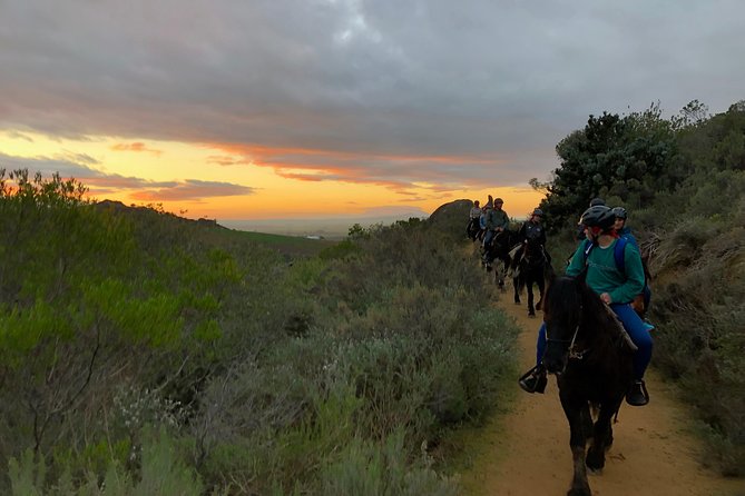 Paarl Small-Group Horseback Riding Tour  - Stellenbosch - Participant Requirements