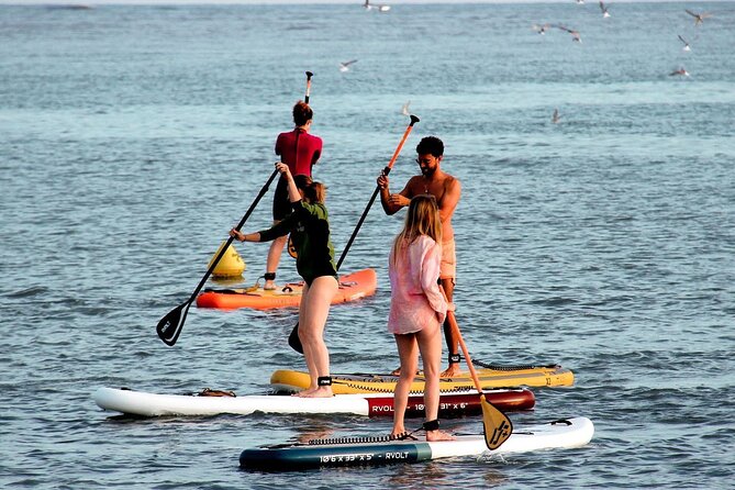 Paddle on the French Riviera Nice and Near CAP3000 - Equipment Rental Options Available