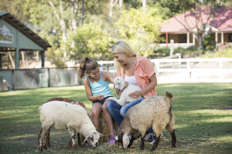 Paradise Country: Ultimate Aussie Farm Experience - Activities and Shows
