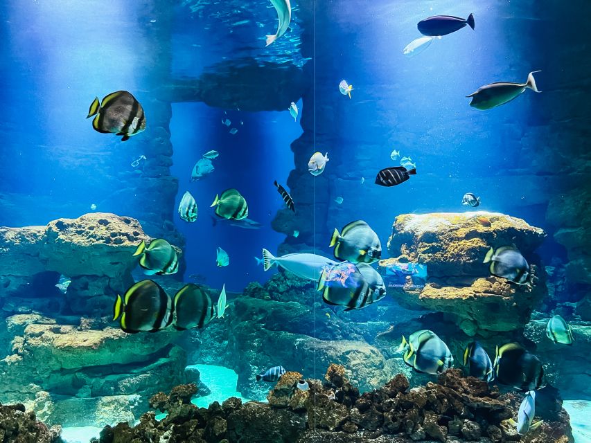 Paris: Aquarium De Paris Entrance Ticket - Booking Information and Recommendations