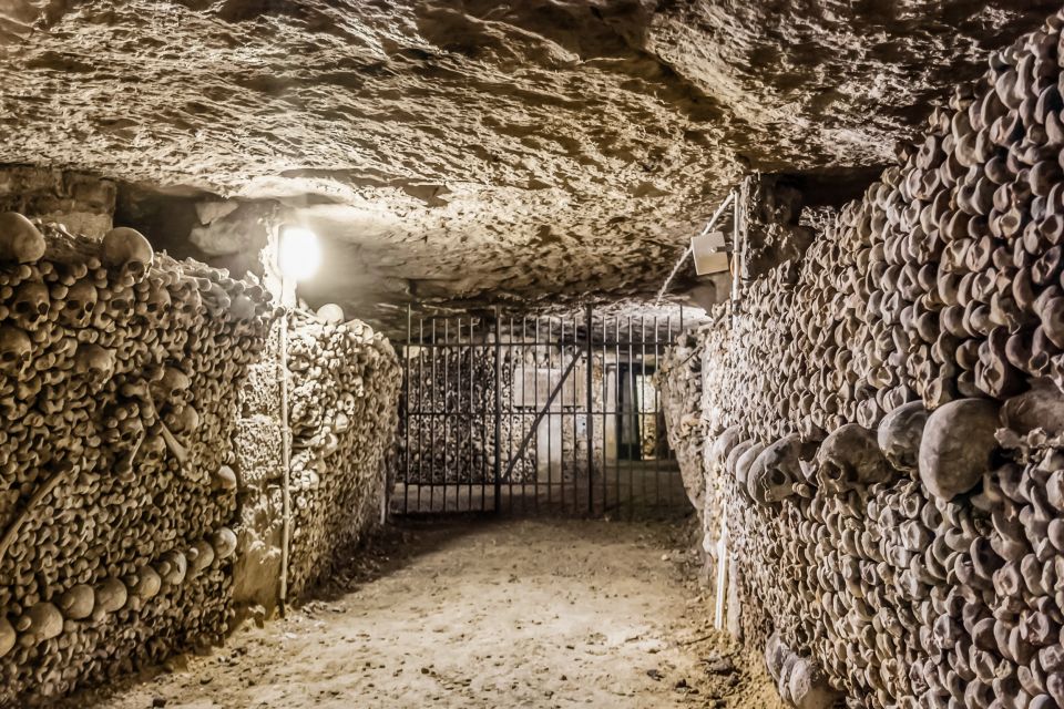 Paris Catacombs: VIP Skip-the-Line Restricted Access Tour - Tour Highlights