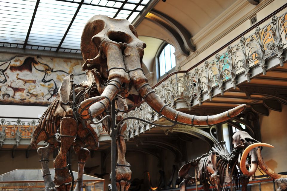 Paris: Private Museum and Highlights Tour for Families - Contact Information