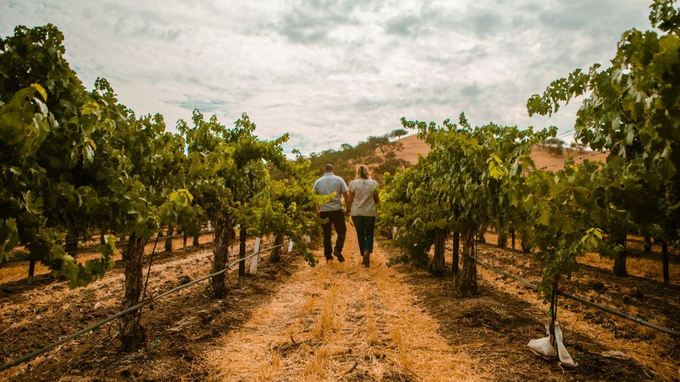 Paso Robles: Wine Country Sightseeing Tour by Sidecar - Directions