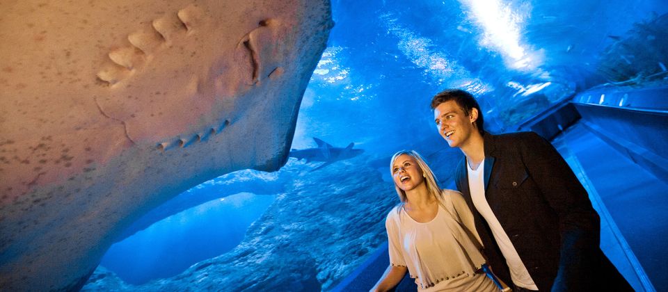 Perth: AQWA Aquarium of Western Australia Entry Tickets - Inclusions in the Entry Ticket