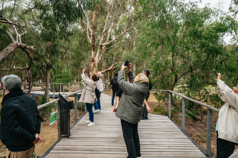 Perth: Pinnacle Desert Sunset and Stargazing With Dinner - Important Information