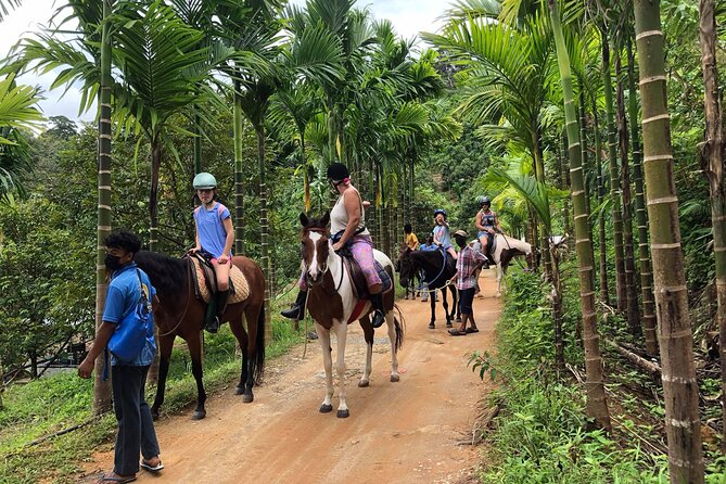 Phuket Horse Riding Experience - Common questions