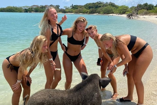 Pig Island Private Beach Full Day From Koh Samui - Thai Version of the Bahamas - Last Words