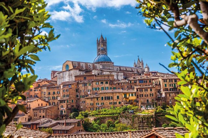 Pisa, Siena, San Gimignano Tour : Lunch and Wine in Chianti Included - Cancellation Policy