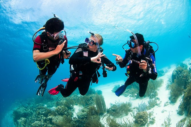 Playa Del Carmen: PADI Discover Scuba Diving With Instructor - Last Words