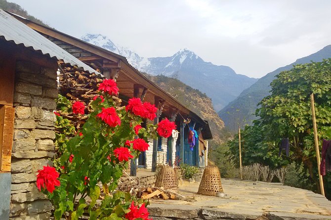 Pokhara Tour From Kathmandu and Short Annapurna Trek - Common questions