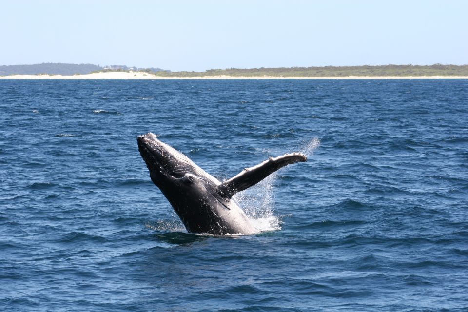 Port Stephens Small Group Whales & Dunes Combo - Directions