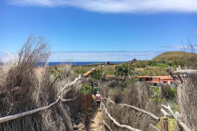 Porto Moniz and Cable Car Tour - Last Words