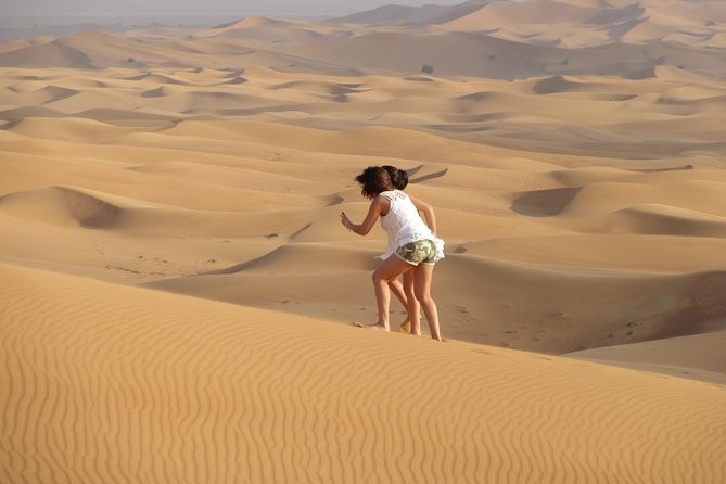 Premium Desert Safari, Barbeque, 3 Shows, Camel Ride, Sand-Board at Bedouin Camp - Last Words