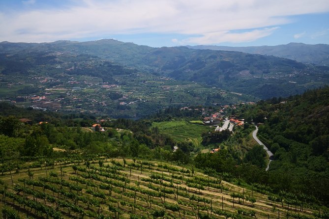 Premium Private Douro & Vinho Verde Tour: Wine Tastings & Lunch - Accommodations and Inclusions