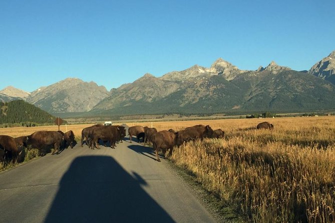 Private All-Day Tour of Grand Teton National Park - Additional Information